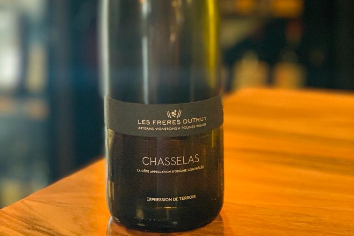 Chasselas Expression - Les Philosophes