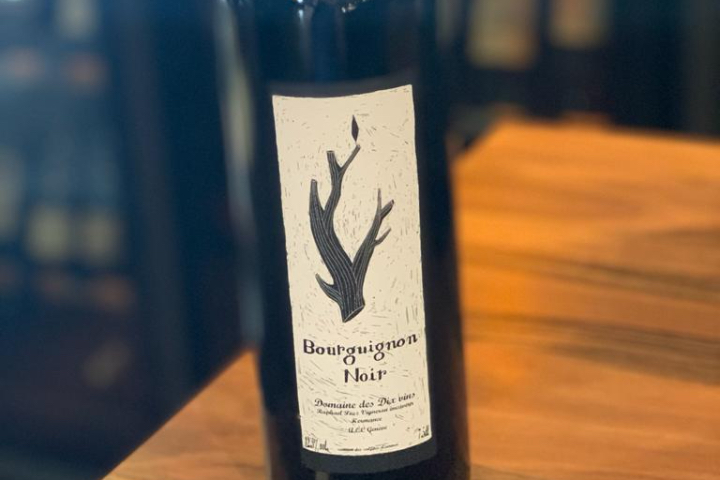 Bourguignon Noir Gamay - Les Philosophes