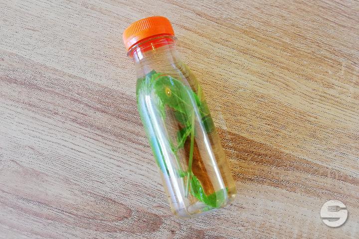 Infusion maison menthe fraîche - 25cl - L'Echo