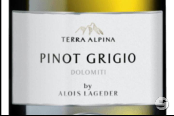 Pinot Grigio - Punto e Pasta