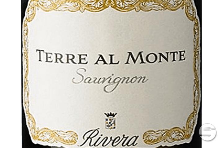 Terre Al Monte - Punto e Pasta