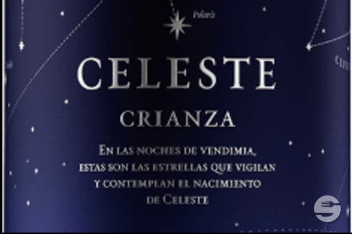 Celeste - Punto e Pasta