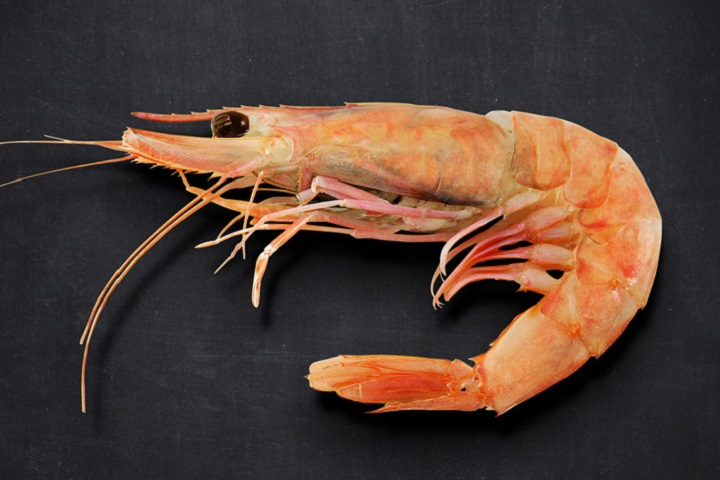 Poke crevettes basse température - Green & Fit Food