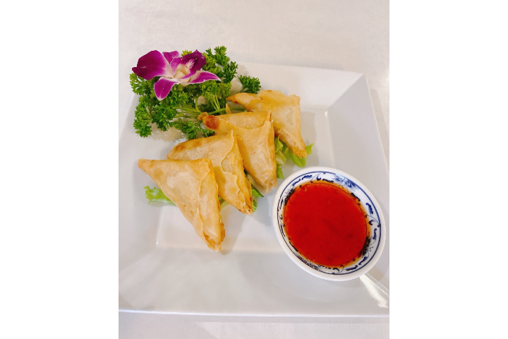 10A. Curry Samoussa - Hong Sheng