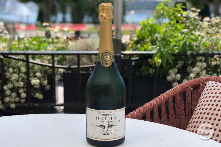 Deutz Brut Blanc - Le Chat Botté