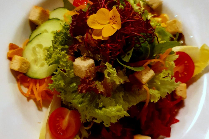 Kleiner Salat - Lapin
