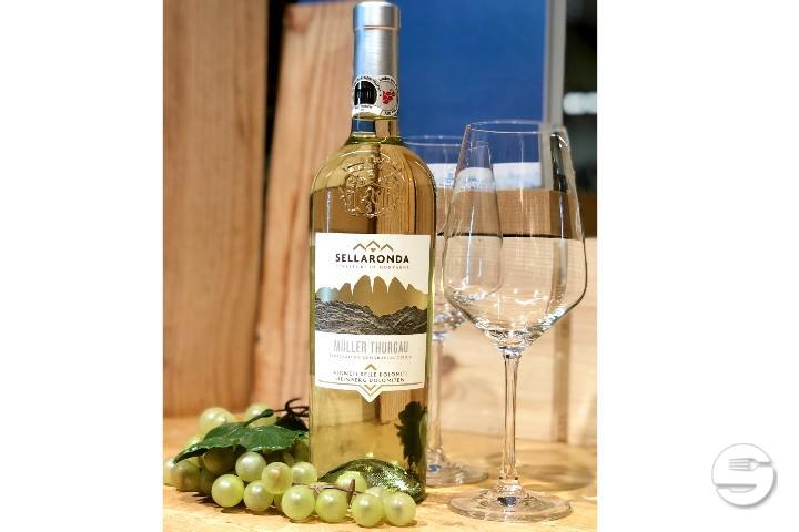 Vigneti delle Dolomiti - Enoteca Vinarte - Sant'Antonino
