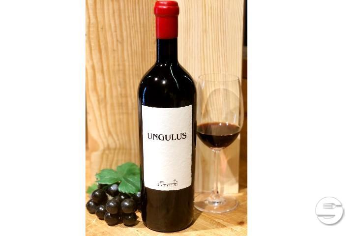 Ungulus Riserva - Enoteca Vinarte - Sant'Antonino