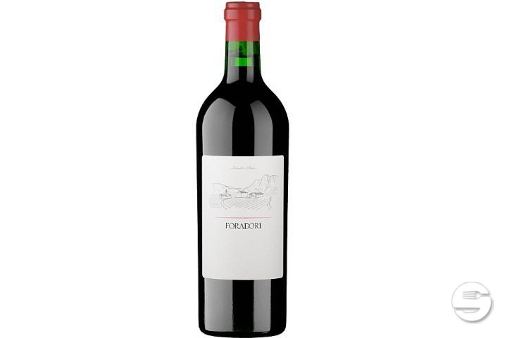 Teroldego IGT Vigneti delle Dolomiti - Enoteca Vinarte - Sant'Antonino