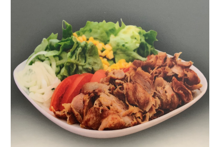 Doner kebab plate with salad - La Sofra Fine Food