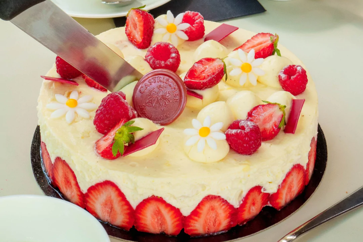 Fraisier - Castrischer