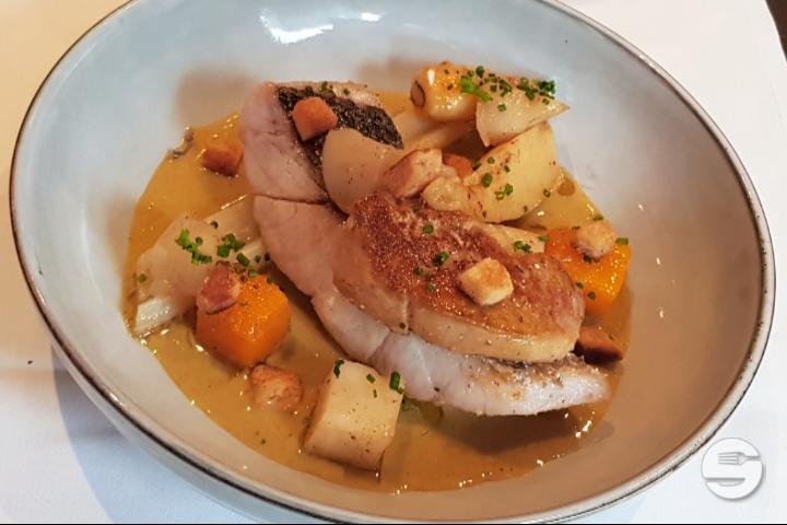 Meagre Fish "Rosini" - Café des Banques