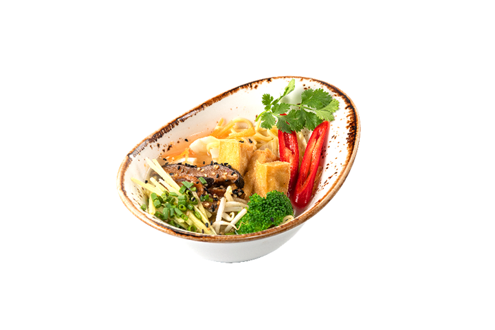 Fujiyama Small - Nooch Asian Kitchen Zurich