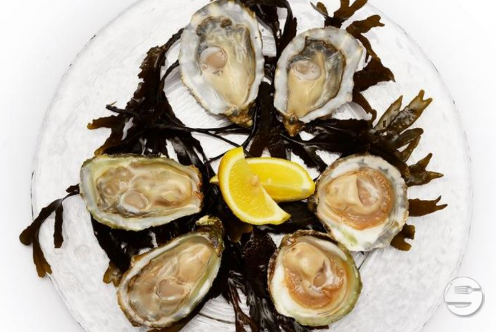 Plateau du Mois - The Fish Club