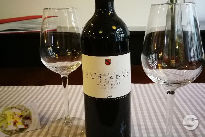 Pinot Noir - Un R de Famille