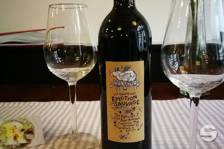 Emotion Sauvage - Un R de Famille