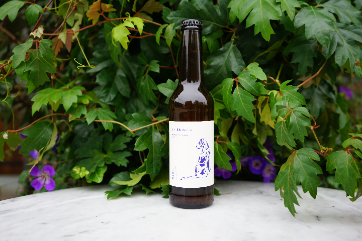 Chien Bleu Bamse - Gigi Cucina & Bar