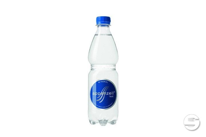Wasser Goba mit Kohlensäure 0.5l PET - The Bite Gourmet Burger Delivery