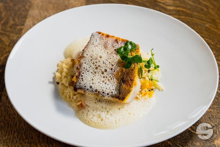 Grilled Swiss pikeperch - Helvetia