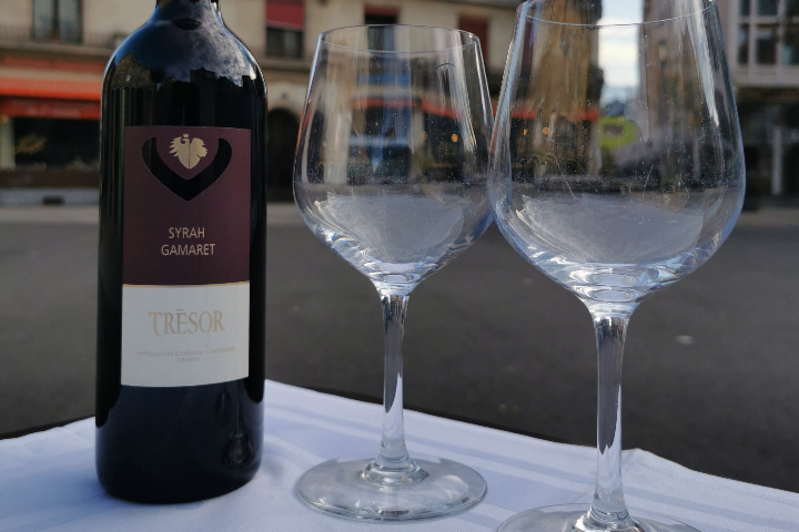 Syrah + Gamaret - Thai Family