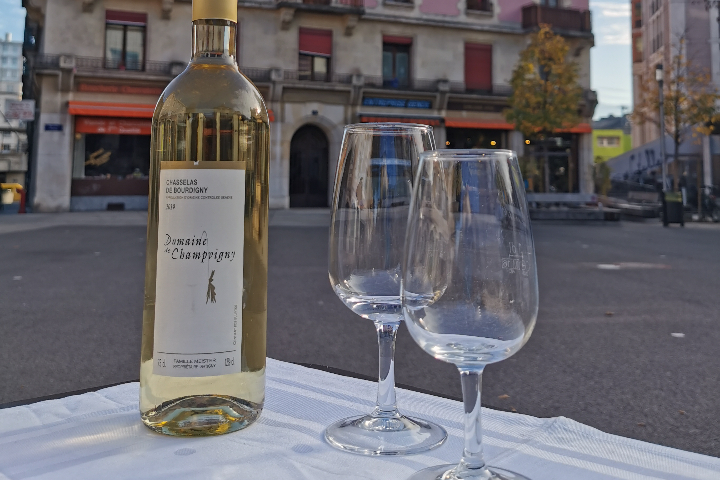 Chasselas de Bourdigny - Thai Family