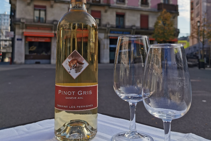 Pinot Gris, Les Perrières - Thai Family