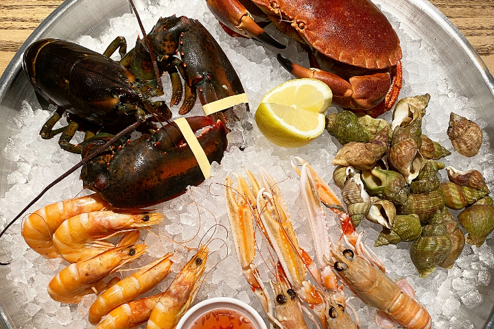 Langoustine - Octopus