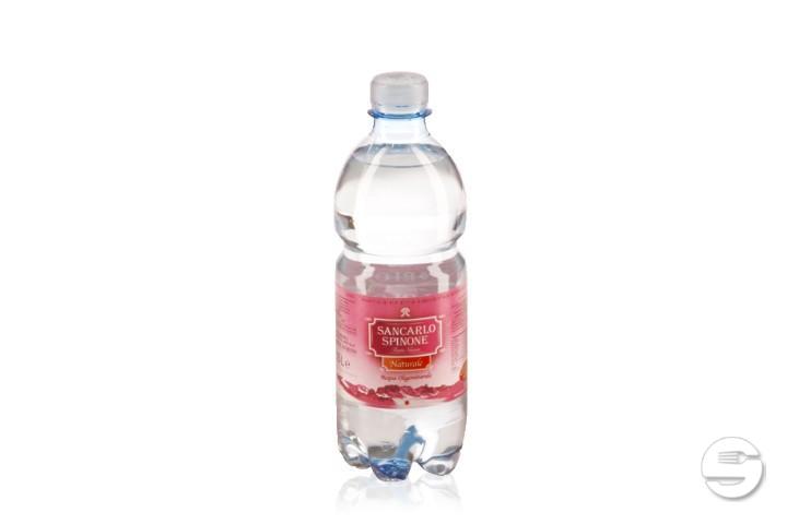 Natural water - PizzoccheriMobile