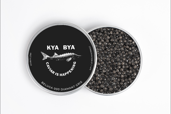 Beluga Diamant Gris de Bulgarie 30G - Livingroom by The Ritz-Carlton