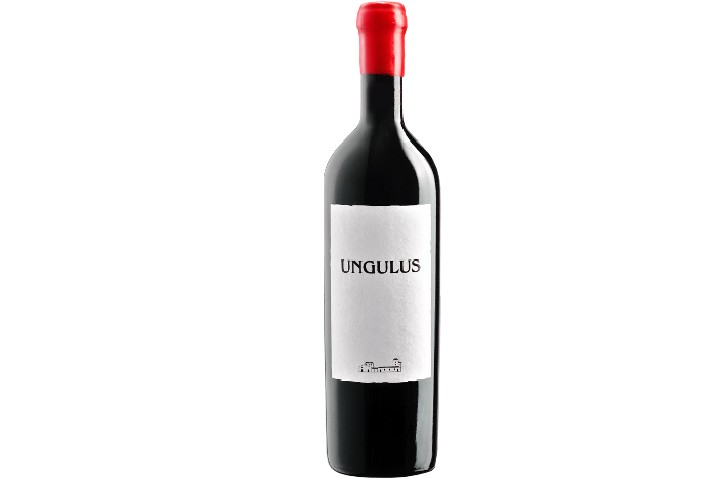 Ungulus – Castello di Cantone – Capolago
