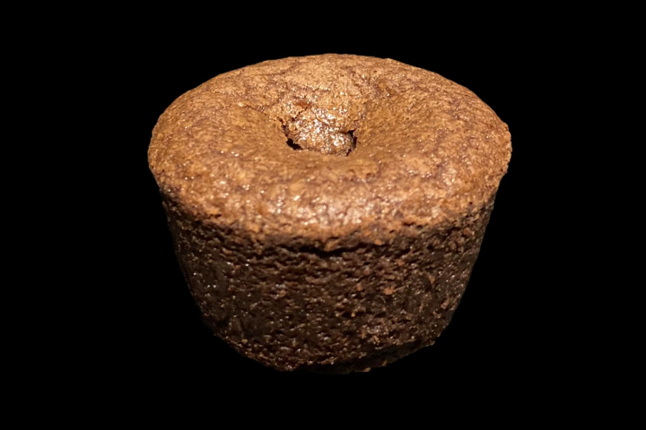 Molten Chocolate Cake - Pitaya
