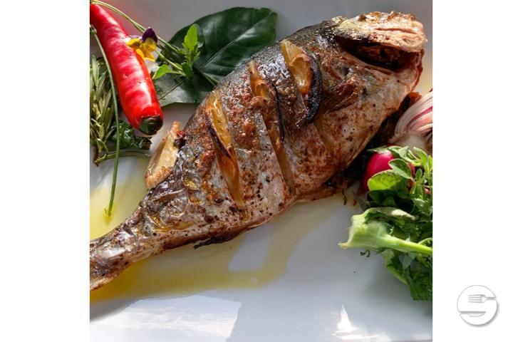 Doradenfilet mit frischen Kräutern gebraten - Sabor Restaurant