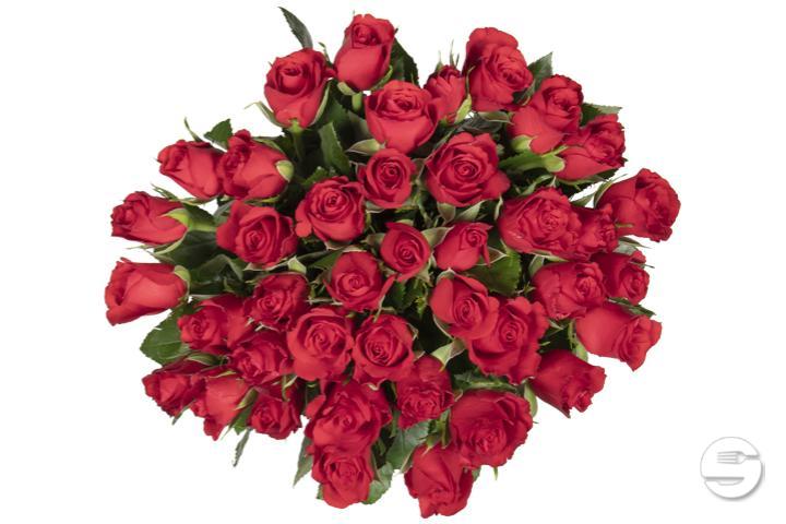 40 Mini Roses Bouquet - Florissimo (Charmilles)