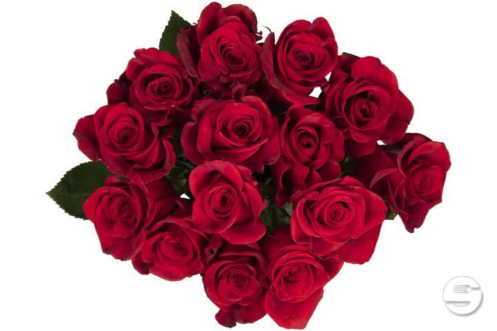 14 Roses Bouquet - Florissimo (Charmilles)