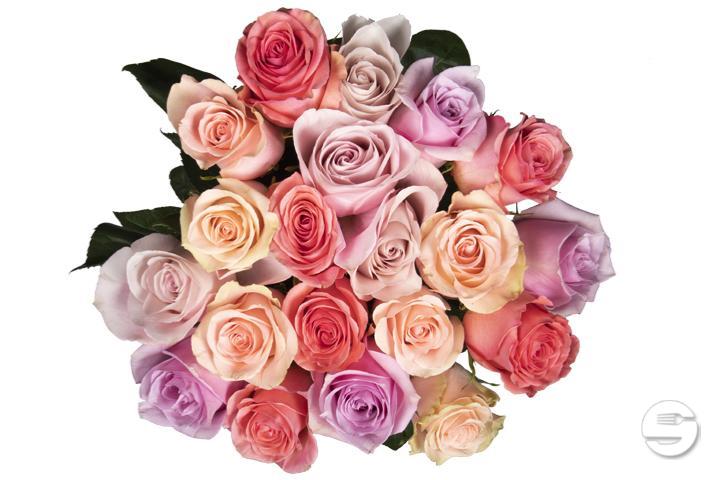 20 Roses Bouquet - Florissimo (Charmilles)