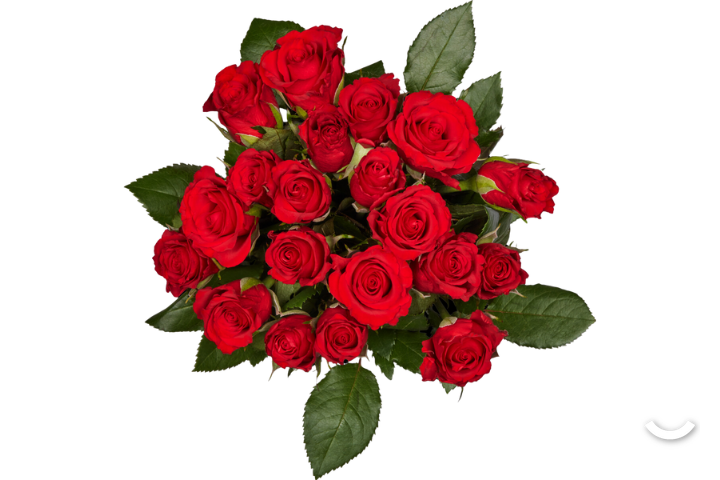 Rote Mini-Rosen
