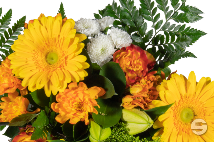 Bouquet Lena Gerbera Orange - Florissimo (Versoix)
