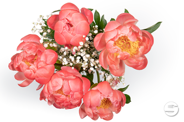 5 peonis bouquet with gypsophyle - Florissimo (Versoix)