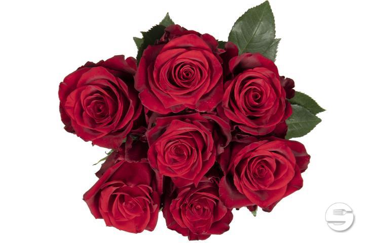 7 Roses Bouquet - Florissimo (Vibert)
