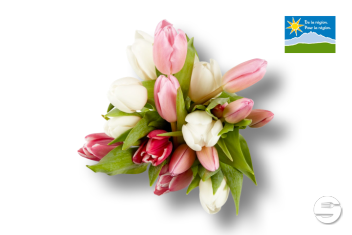 Bouquet of 20 tulips (from the region) - Florissimo (Vibert)