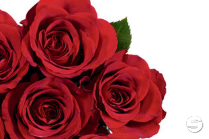Roses Equateur Rouges - Max Havelaar - Florissimo (Aéroport)