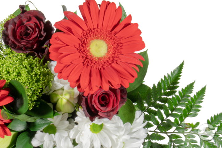 Bouquet Lena Gerbera Rouge - Florissimo (Aéroport)