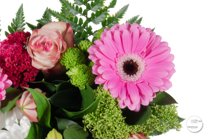 Bouquet Lena Gerbera Rose - Florissimo (Aéroport)