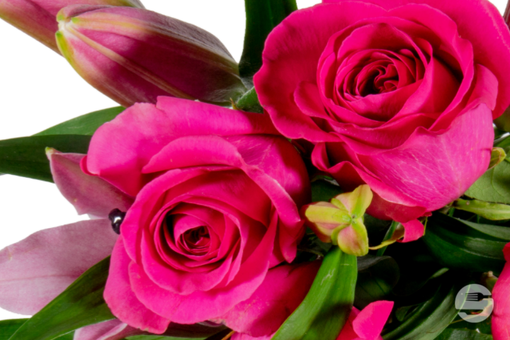 Bouquet Lena Rose - Florissimo (Aéroport)