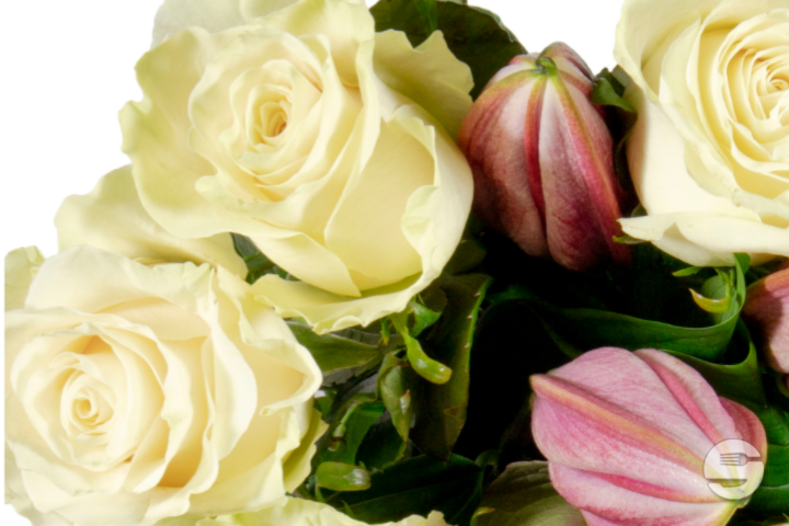 Bouquet Lena Blanc - Florissimo (Aéroport)