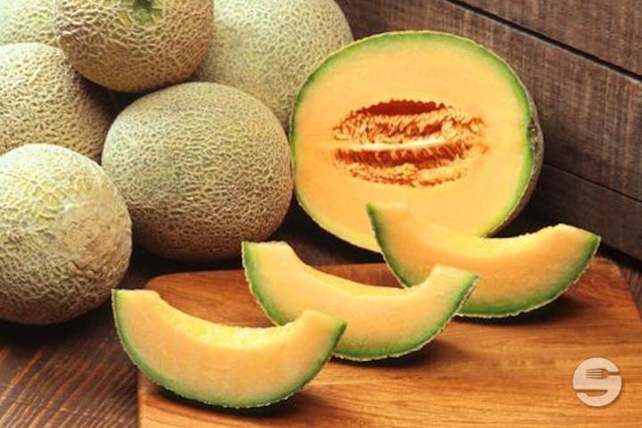 Melon Lactose - Oyo Bubble Tea