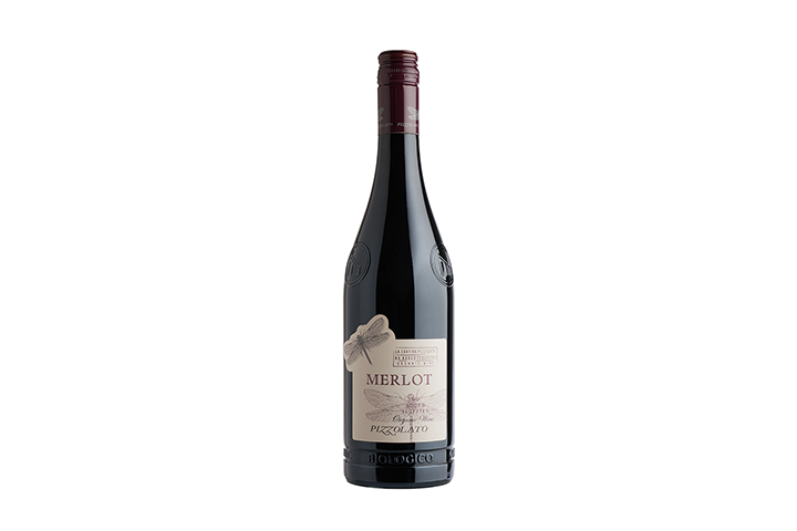 Merlot DOC Venezia BIO 2021 - no suflites added - Epicurious Brothers