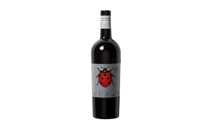Garnacha – Syrah Cariñena DOP BIO 2020 – Bodegaverde - Epicurious Brothers