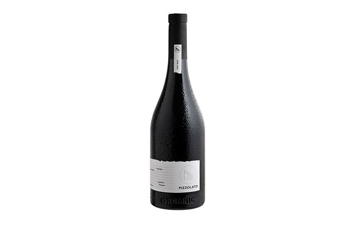 Pinot Nero DOC Venezia BIO/Vegan 2022