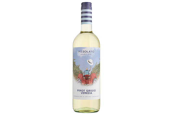 Pinot Grigio "Sunny Farm" BIO 2021